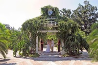 Unusual Florida Weddings 1075698 Image 0